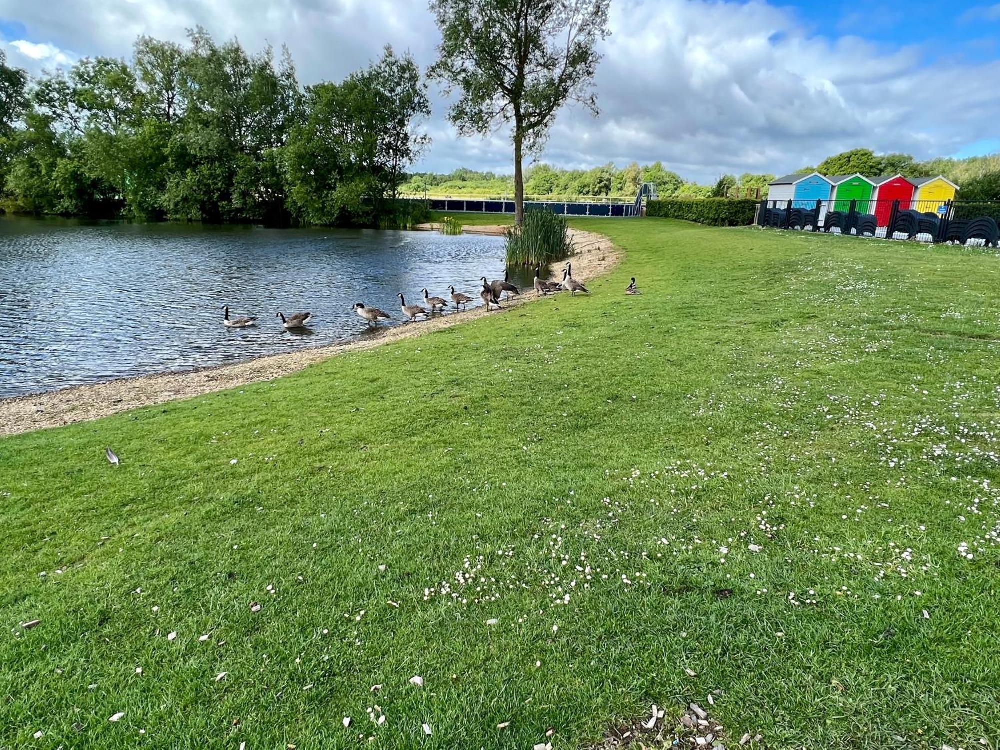 Reeds View Holiday Lodge サウス・サーニー エクステリア 写真